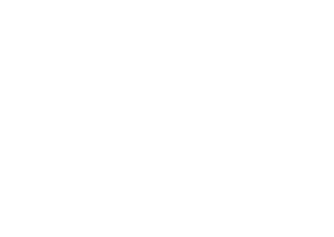 新卒27.8% 中途72.2%