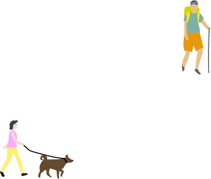 46%